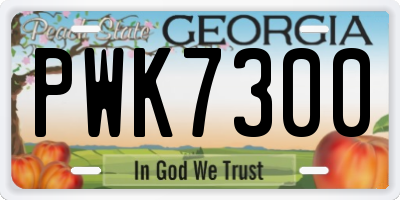 GA license plate PWK7300