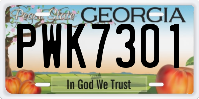 GA license plate PWK7301