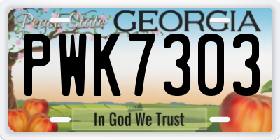 GA license plate PWK7303