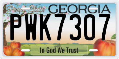 GA license plate PWK7307