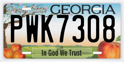 GA license plate PWK7308