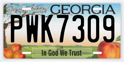GA license plate PWK7309