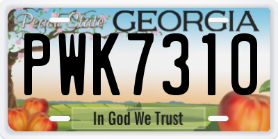 GA license plate PWK7310