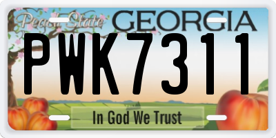 GA license plate PWK7311