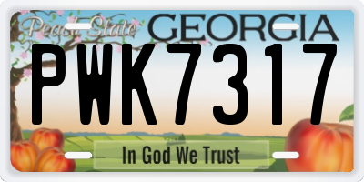 GA license plate PWK7317
