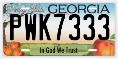 GA license plate PWK7333