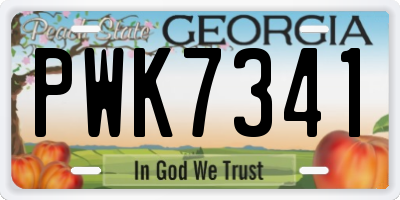 GA license plate PWK7341