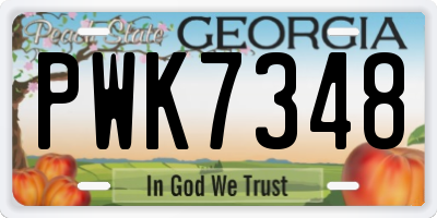 GA license plate PWK7348