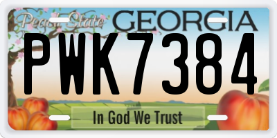 GA license plate PWK7384