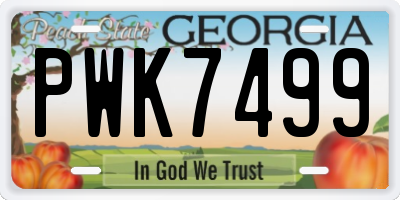 GA license plate PWK7499