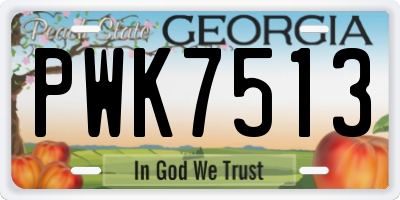 GA license plate PWK7513