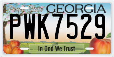 GA license plate PWK7529