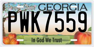 GA license plate PWK7559