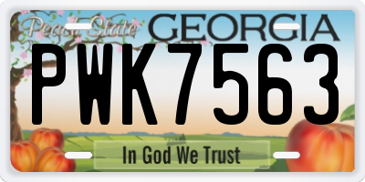 GA license plate PWK7563