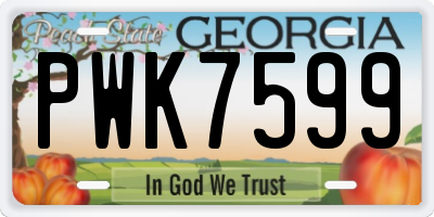 GA license plate PWK7599