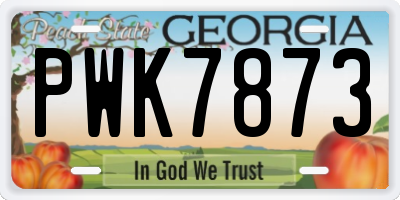 GA license plate PWK7873