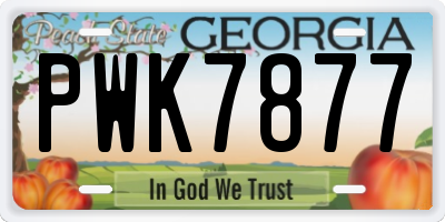 GA license plate PWK7877