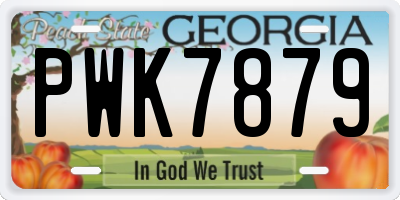 GA license plate PWK7879