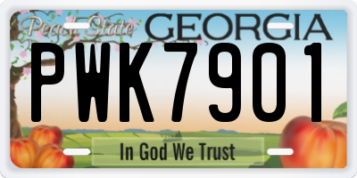 GA license plate PWK7901