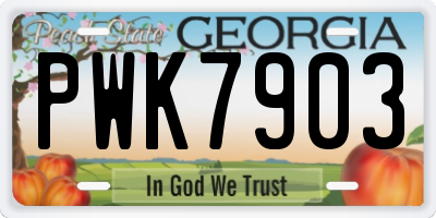 GA license plate PWK7903
