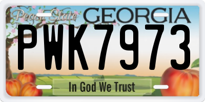 GA license plate PWK7973