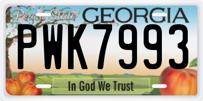 GA license plate PWK7993