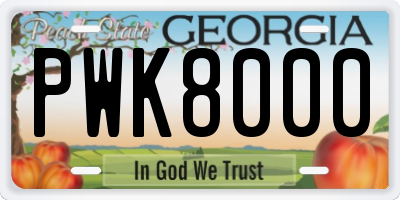 GA license plate PWK8000