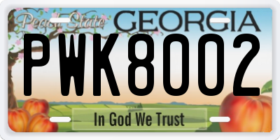 GA license plate PWK8002