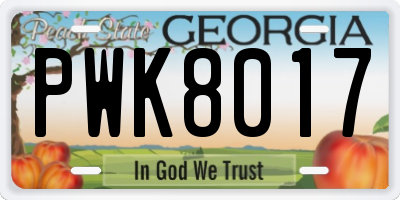 GA license plate PWK8017