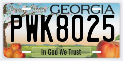GA license plate PWK8025