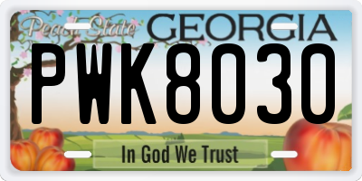 GA license plate PWK8030