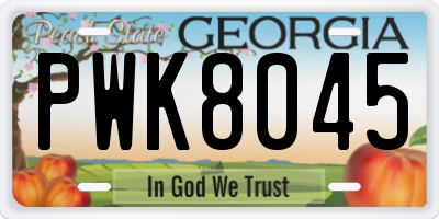 GA license plate PWK8045