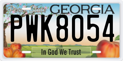 GA license plate PWK8054