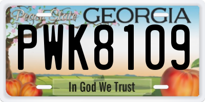 GA license plate PWK8109