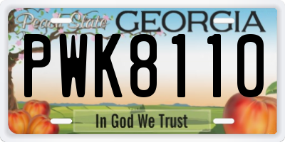 GA license plate PWK8110
