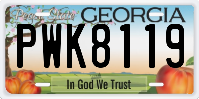 GA license plate PWK8119