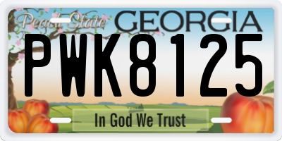 GA license plate PWK8125