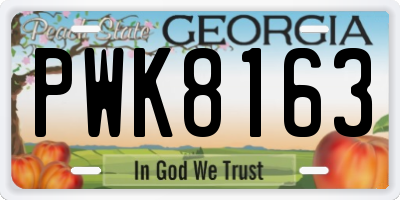 GA license plate PWK8163