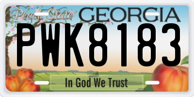 GA license plate PWK8183