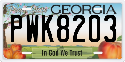 GA license plate PWK8203