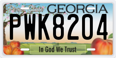 GA license plate PWK8204