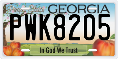 GA license plate PWK8205