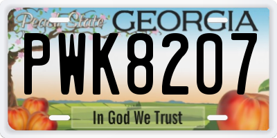 GA license plate PWK8207