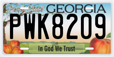 GA license plate PWK8209