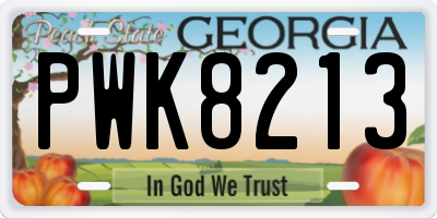 GA license plate PWK8213