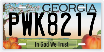 GA license plate PWK8217