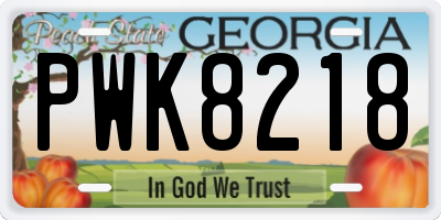 GA license plate PWK8218