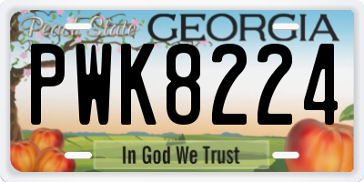 GA license plate PWK8224
