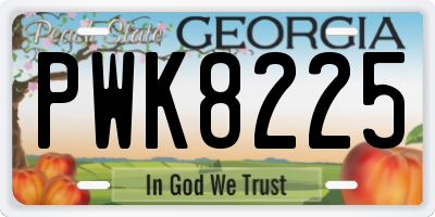 GA license plate PWK8225