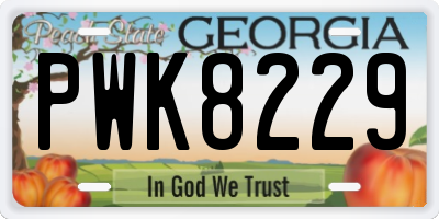 GA license plate PWK8229